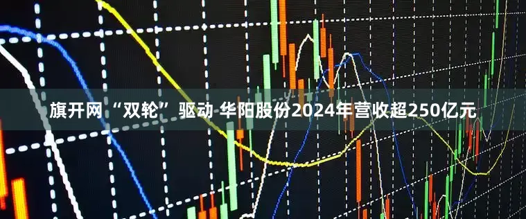 旗开网 “双轮” 驱动 华阳股份2024年营收超250亿元