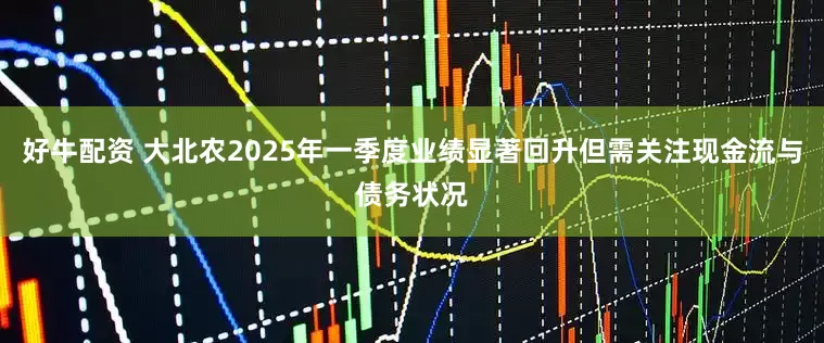 好牛配资 大北农2025年一季度业绩显著回升但需关注现金流与债务状况