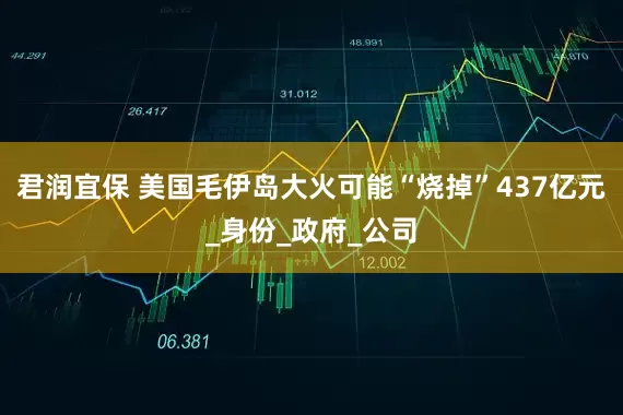 君润宜保 美国毛伊岛大火可能“烧掉”437亿元_身份_政府_公司